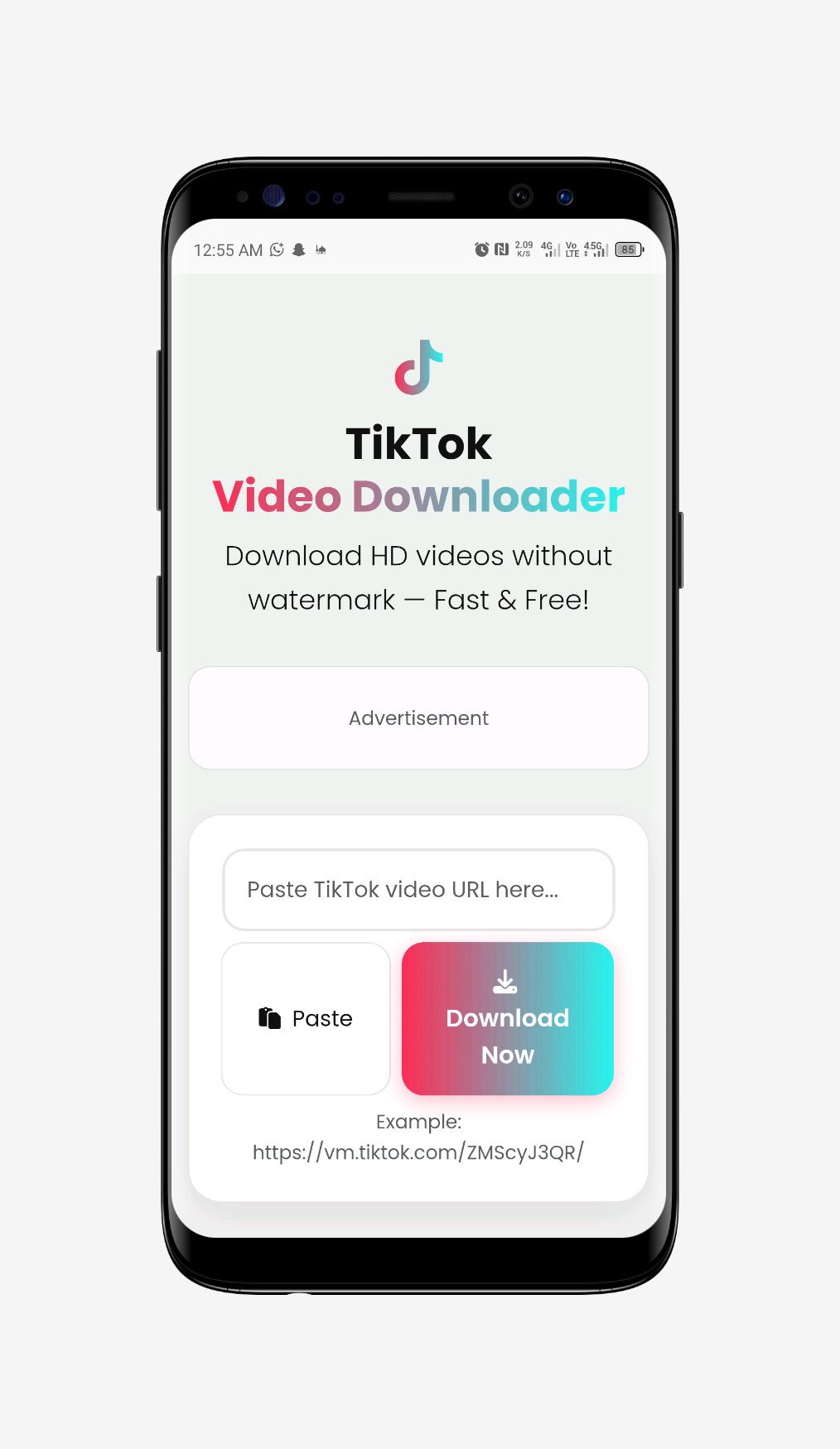 TikVid - Tiktok Video Downloader Script